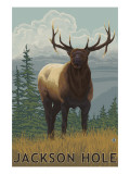Jackson Hole, Wyoming - Elk Posters