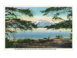 Yellowstone Nat'l Park, WY - Yellowstone Lake and Colter Peak Posters