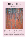Birches Lámina