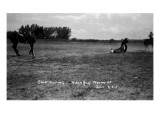 South Dakota - Calf Roping at Black Hills Round-Up Póster South Dakota - Calf Roping at Black Hills Round-Up Póster