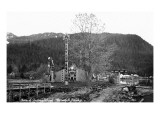 Wrangell, Alaska - View of Shakes Island and Totem Pole Posters