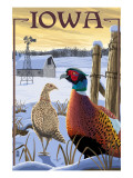 Pheasants - Iowa Fotografía Pheasants - Iowa Fotografía