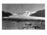 Alaska - View of Mendenhall Glacier Poster