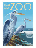 Blue Heron - Visit the Zoo Affiches
