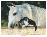 Making Friends Prints by Lesley Harrison
