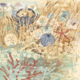 Floral Frenzy Coastal II Láminas por Alan Hopfensperger Floral Frenzy Coastal II Láminas por Alan Hopfensperger