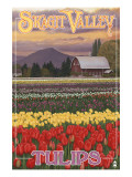 Skagit Valley Tulips Poster