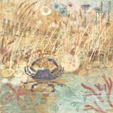 Floral Frenzy Coastal I Pósters por Alan Hopfensperger Floral Frenzy Coastal I Pósters por Alan Hopfensperger