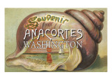 Anacortes, Washington - Shells & Sailboat Souvenir Posters