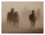 Ghost Horses Prints by Stephanie Marrott