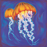 Jelly Fish Poster by Scott Westmoreland