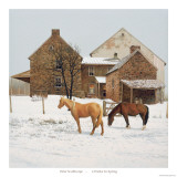 Four Weeks Until Spring Poster by Peter Sculthorpe