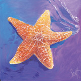 Starfish Prints by Scott Westmoreland