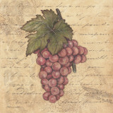 Grapes II Poster by Stephanie Marrott