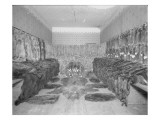 Room Full of Fur Pelts, Early 20th Century Giclee Print by Asahel Curtis