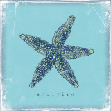 Starfish Prints by Stephanie Marrott