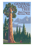 General Grant Tree - Kings Canyon National Park, California Posters