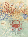 Floral Frenzy Coastal IV Art by Alan Hopfensperger
