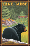Bear in Forest - Lake Tahoe, California Posters