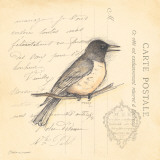 Oiseau II Poster par Stephanie Marrott