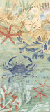 Floral Frenzy Coastal VII Lámina por Alan Hopfensperger Floral Frenzy Coastal VII Lámina por Alan Hopfensperger