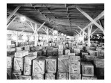 Warehouse of Earthenware at G.N. Docks, 1926 Lámina giclée por Asahel Curtis Warehouse of Earthenware at G.N. Docks, 1926 Lámina giclée por Asahel Curtis