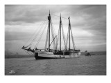 Schooner Great Bear, 1916 Giclee Print by Asahel Curtis