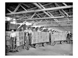 Milwaukee Road - Tea Shipment, 1921 Giclee Print by Marvin Boland