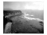 Coast South of Cape Flattery, 1910 Giclee Print by Asahel Curtis
