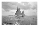 Sailing Boat Giclee Print by Asahel Curtis