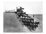 Horse-Drawn Team Wheat Farming Reproduction procédé giclée par Asahel Curtis