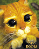 Puss in Boots - Cat Eyes Poster