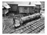 Cutting Kindling, Linco Log and Lumber Company, 1920 Giclee Print by Marvin Boland