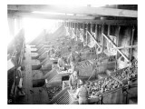 Sorting Coal at Franklin Mines, Feb. 19, 1902 Giclee Print by Asahel Curtis