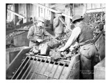 Picking Coal, Franklin Mine, Circa 1902 Giclee Print by Asahel Curtis