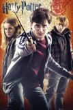 Harry Potter and the Deathly Hallows - Part II - Trio Láminas