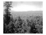 Spokane Through the Trees, 1915 Giclee Print by Asahel Curtis