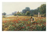 Picking Posies Giclee Print by William Kay Blacklock