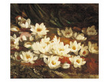Waterlilies Giclee Print by William Jabez Muckley