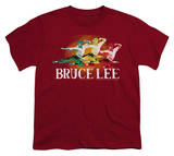 Youth: Bruce Lee - Tri-Color Shirt