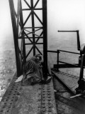 Paris Qui Dort, 1925 Photographic Print