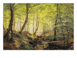 A Forest Glade Giclee-trykk av Johannes Boesen A Forest Glade Giclee-trykk av Johannes Boesen