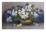 A Bowl of Primulas Giclee Print by Edith Barrow