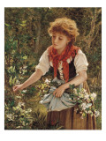 Picking Honeysuckle reproduction procédé giclée par Sophie Anderson
