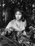 Gina Lollobrigida dans "Pane, Amore e Gelosia" par Luigi Comencini, 1954 Photographie par Leonia Celli