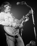 Allman Brothers Band, Rick Kohlmeyer, 1975, Milwaukee Arena, Milwaukee, Wisconsin Fotografía