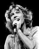 Andy Gibb, Thomas Weschler, 1978, Pine Knob, Detroit, Michigan Photographie