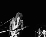 Bob Dylan, John Rockwood, 1978, Toledo, Ohio Photographie