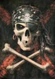 Anne Stokes - Pirate Skull Posters by Anne Stokes