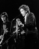 Bob Dylan & The Band, Charlie Auringer, 1974, Chrysler Arena, Detroit, Michigan Photo